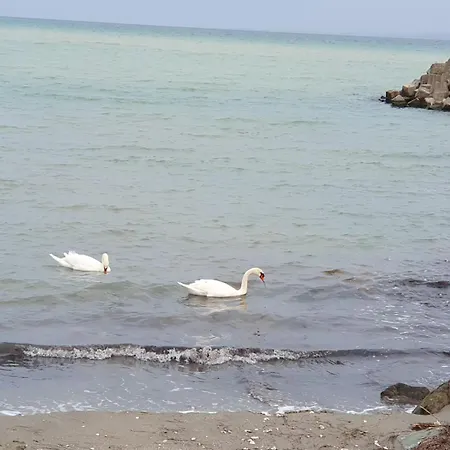 студио сарафово Lejlighed Burgas City