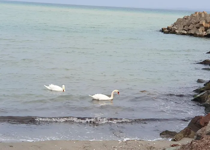 студио сарафово Апартамент Бургас